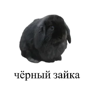 2️⃣