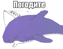 😂