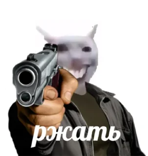 😺