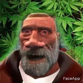 🌿