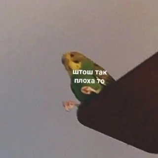 😣