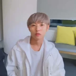 🦊