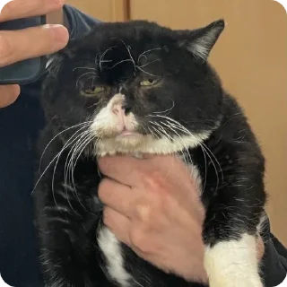 😔