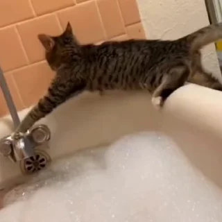 🤩