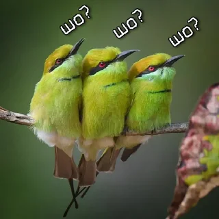 ⁉