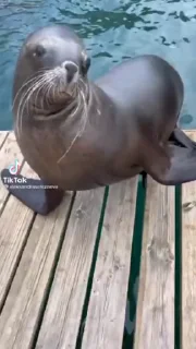 😎