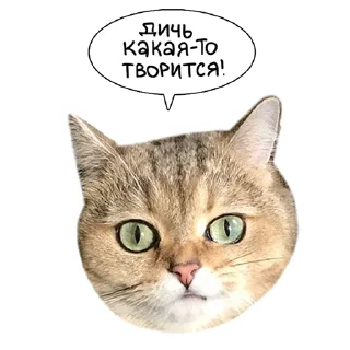 👹