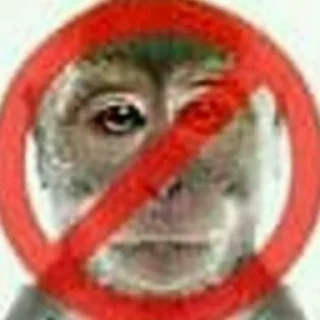 🐵