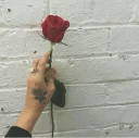 🌹