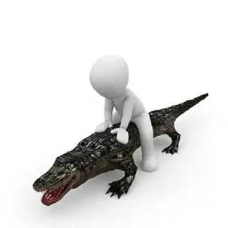 🐊
