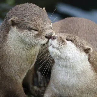 🥰