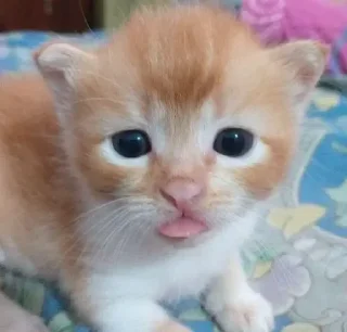 😀