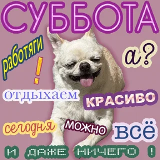 6️⃣