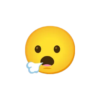 😮‍💨