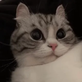 🤨