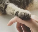 🤗