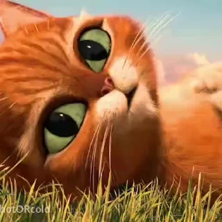 😏