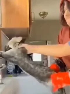 😵