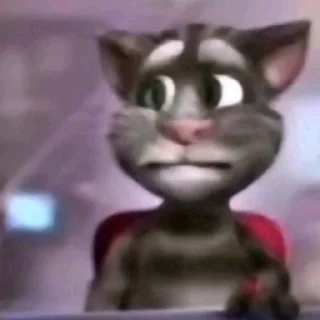 🤍