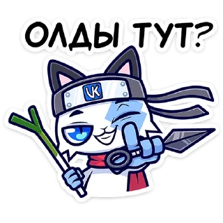 🐱