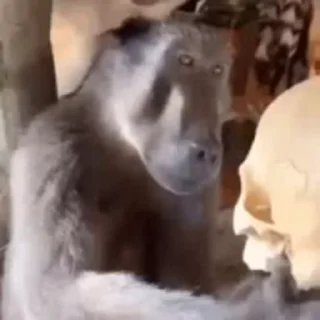 🤔
