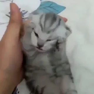 😱