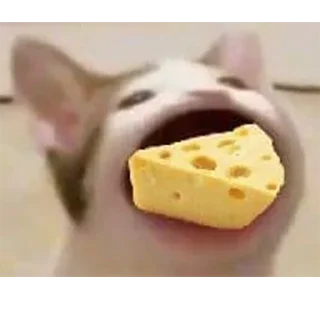 🧀