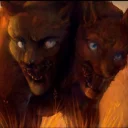🐱