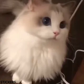 😶