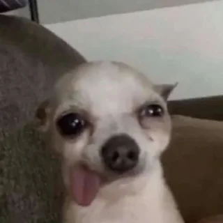 🥴