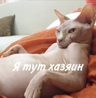 🥱