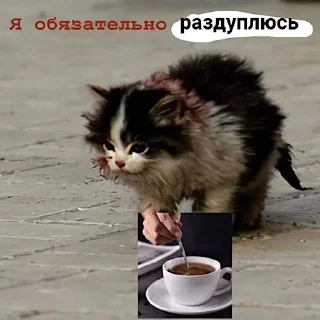 😴
