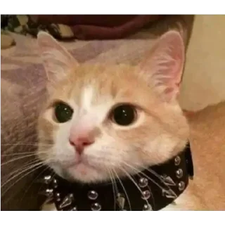 😐