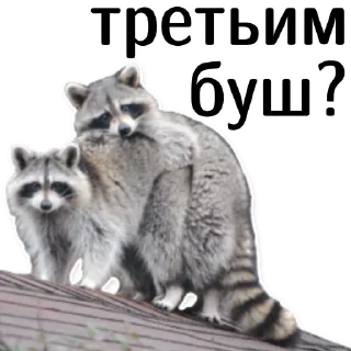 👪