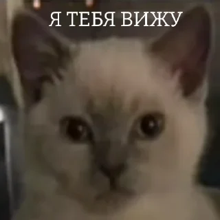 🙃