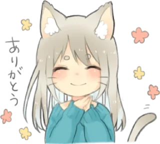 ✨