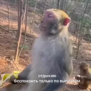 🤩