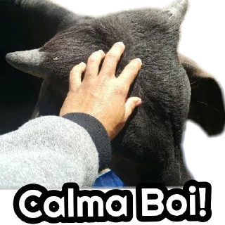 🐮
