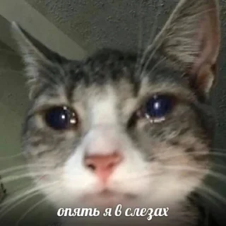 😢