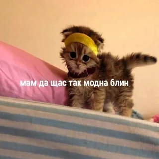 👹