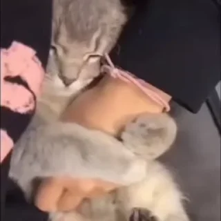 🥲