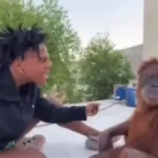 🐒
