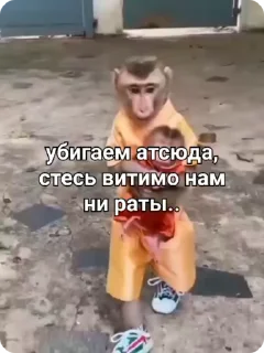🏃
