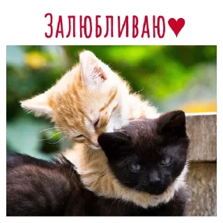 💝