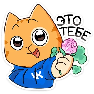 ⭐