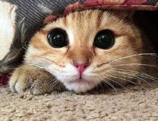 😍