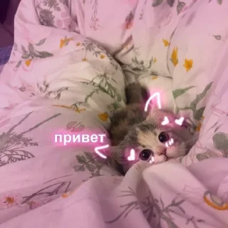 🌚