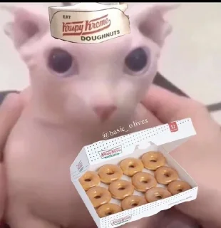 😌