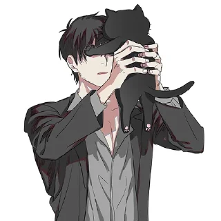 🐈‍⬛