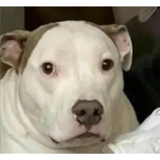 😐